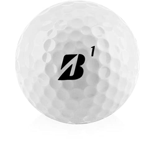Personalized Bridgestone e6 Golf Balls - Custom Monogram Golf Balls for Men & Women | Perfect for Tournaments, Gifts & Practice