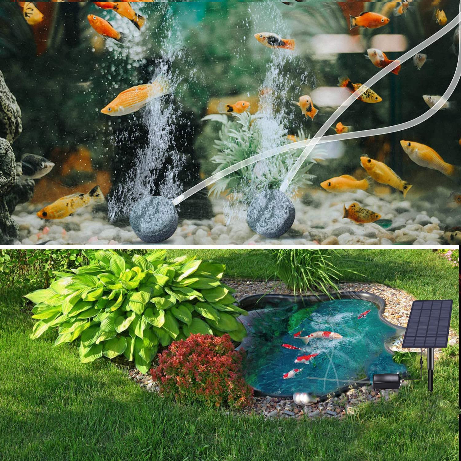 2.5W Solar Air Pump with Air Hose & Bubble Stone - Pond Aerator & Oxygenator for Fish Tanks, Hydroponics, Aquaponics | Outdoor Solar Powered Water Aeration System