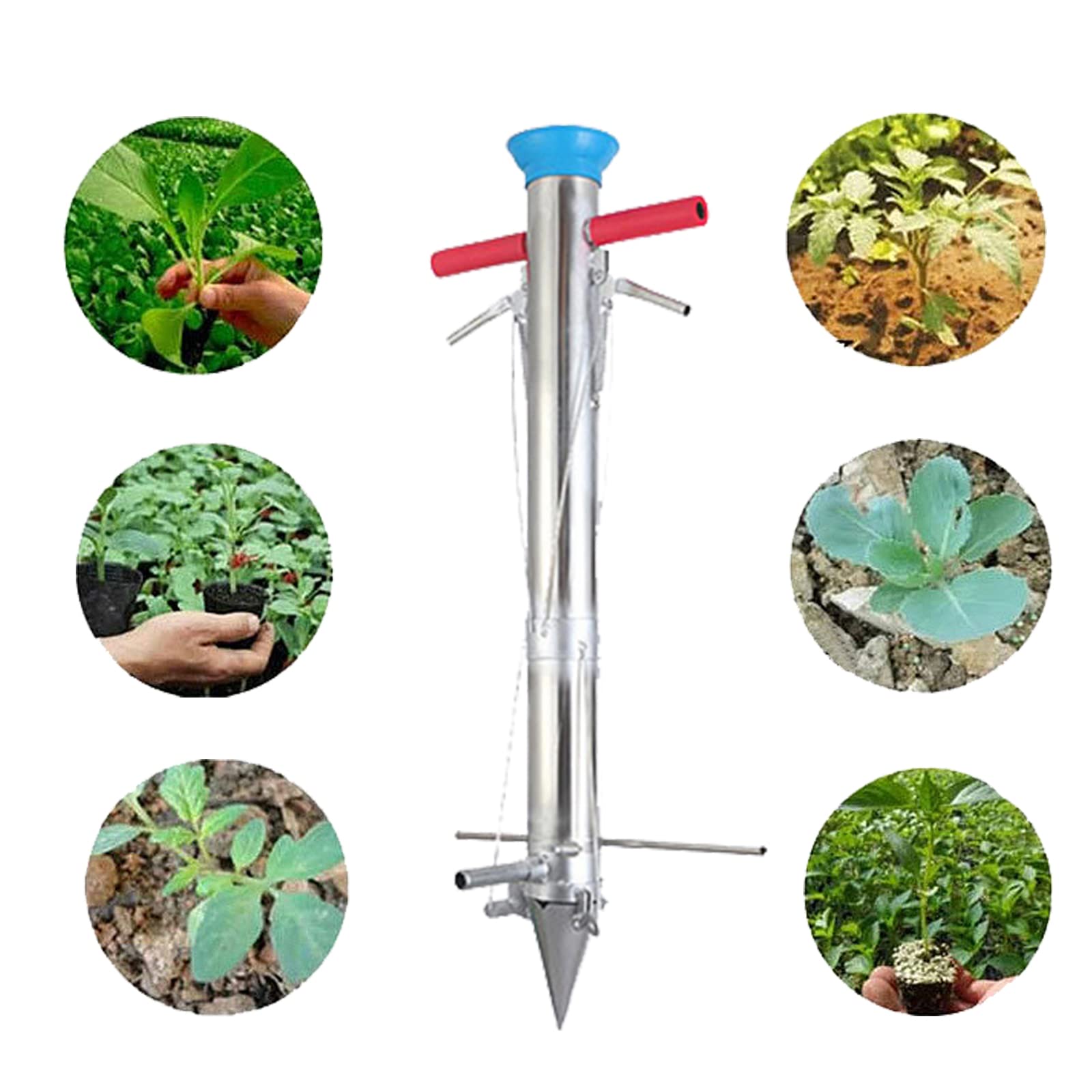 Stainless Steel Bulb Planter Tool - Multi-Functional Vegetable Seedling Cultivator & Manual Drill Seeder for Transplanting Young Plants | Perfect for Garden, Yard, Greenhouse & Indoor Herb Planting