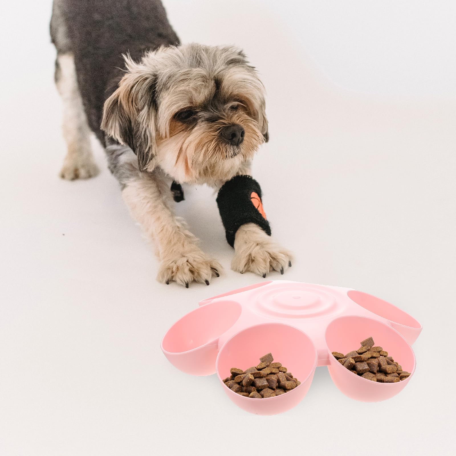 POPETPOP 6-Piece Cat Food and Water Bowl Set - Durable Pet Feeder for Kittens, Puppies, and Multiple Cats | Non-Slip Indoor Cat Dishes for Dry/Wet Food & Water | Perfect for Multi-Cat Homes, Automatic Feeders, and Pet Feeding Stations