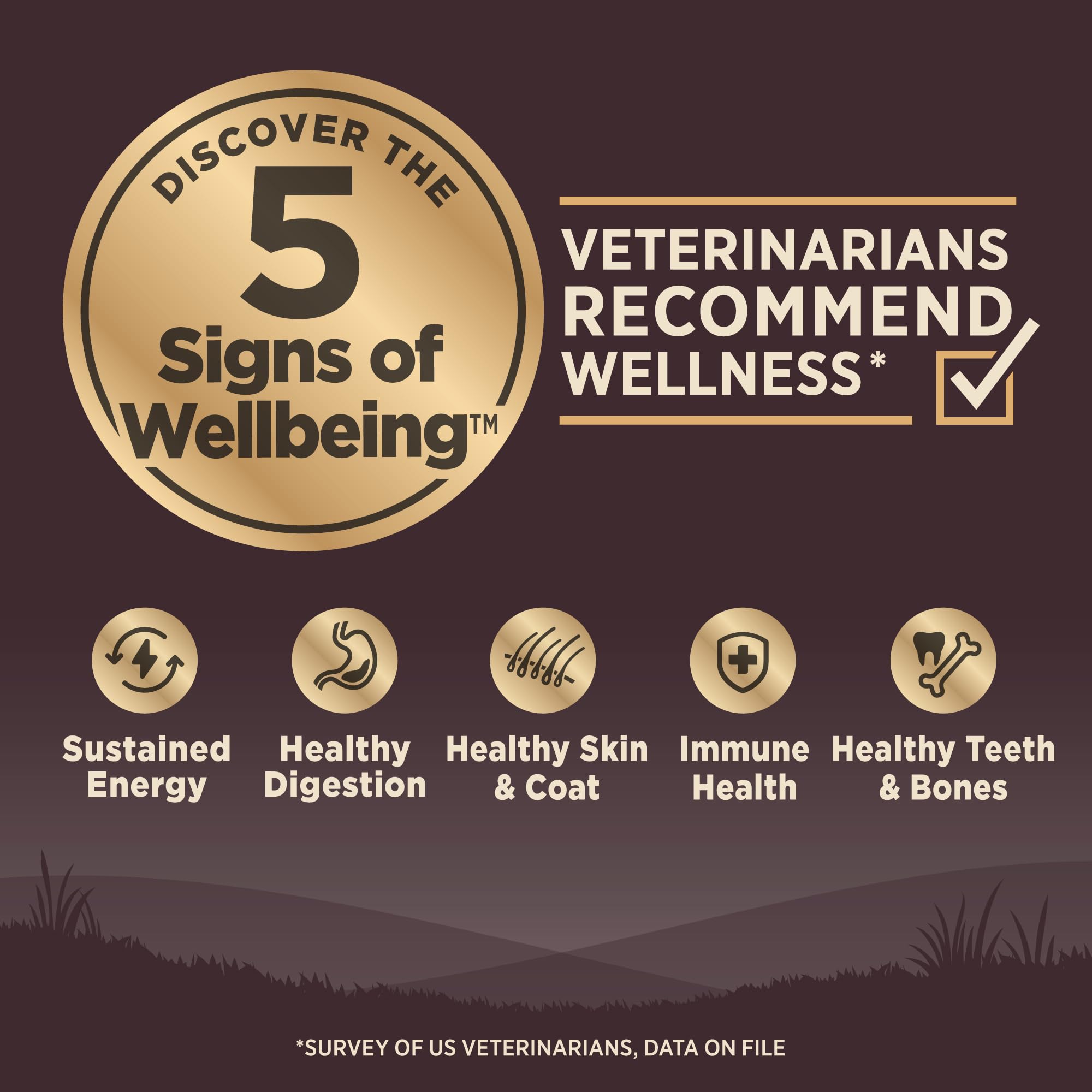 Wellness CORE Grain-Free High-Protein Dry Dog Food for Adult Dogs - Natural Ingredients with Real Lamb, Made in USA - All Breed Sizes (22lb Bag) - Perfect for Active Dogs & Weight Management