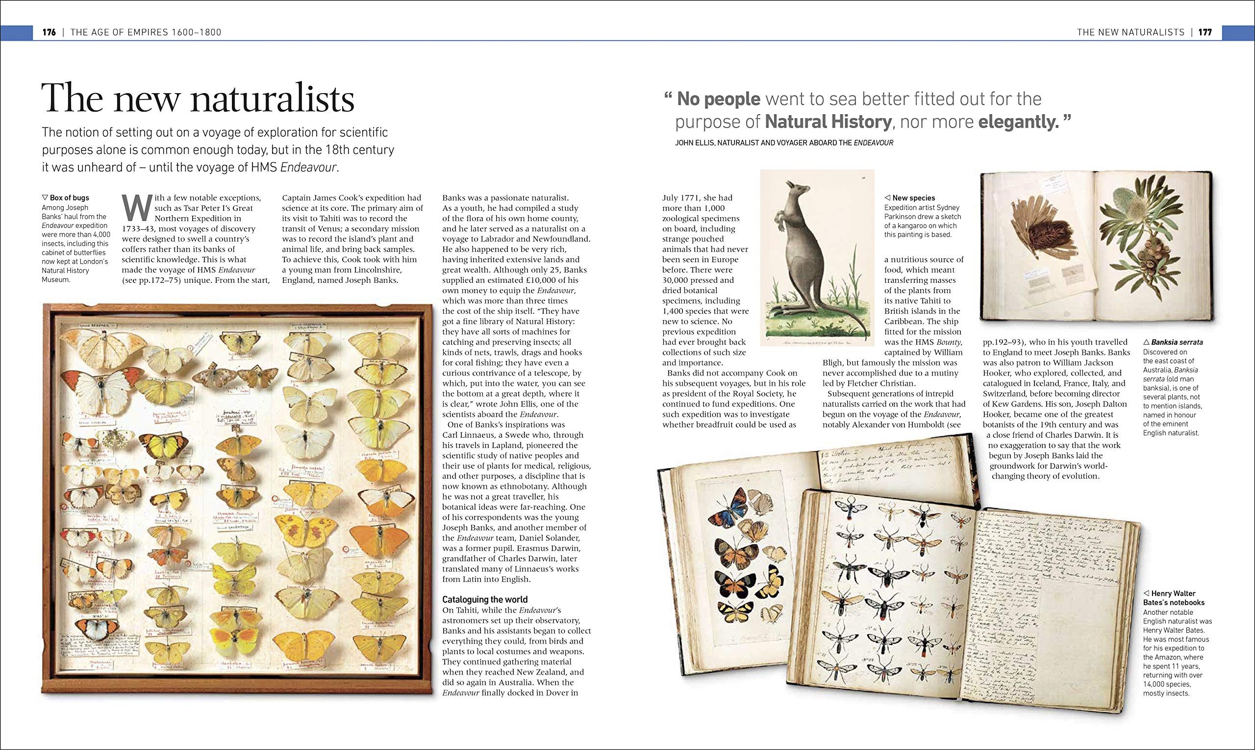 Journey: An Illustrated History of Travel - Explore the Evolution of Global Exploration | Perfect for History Buffs, Travel Enthusiasts & Gift Giving