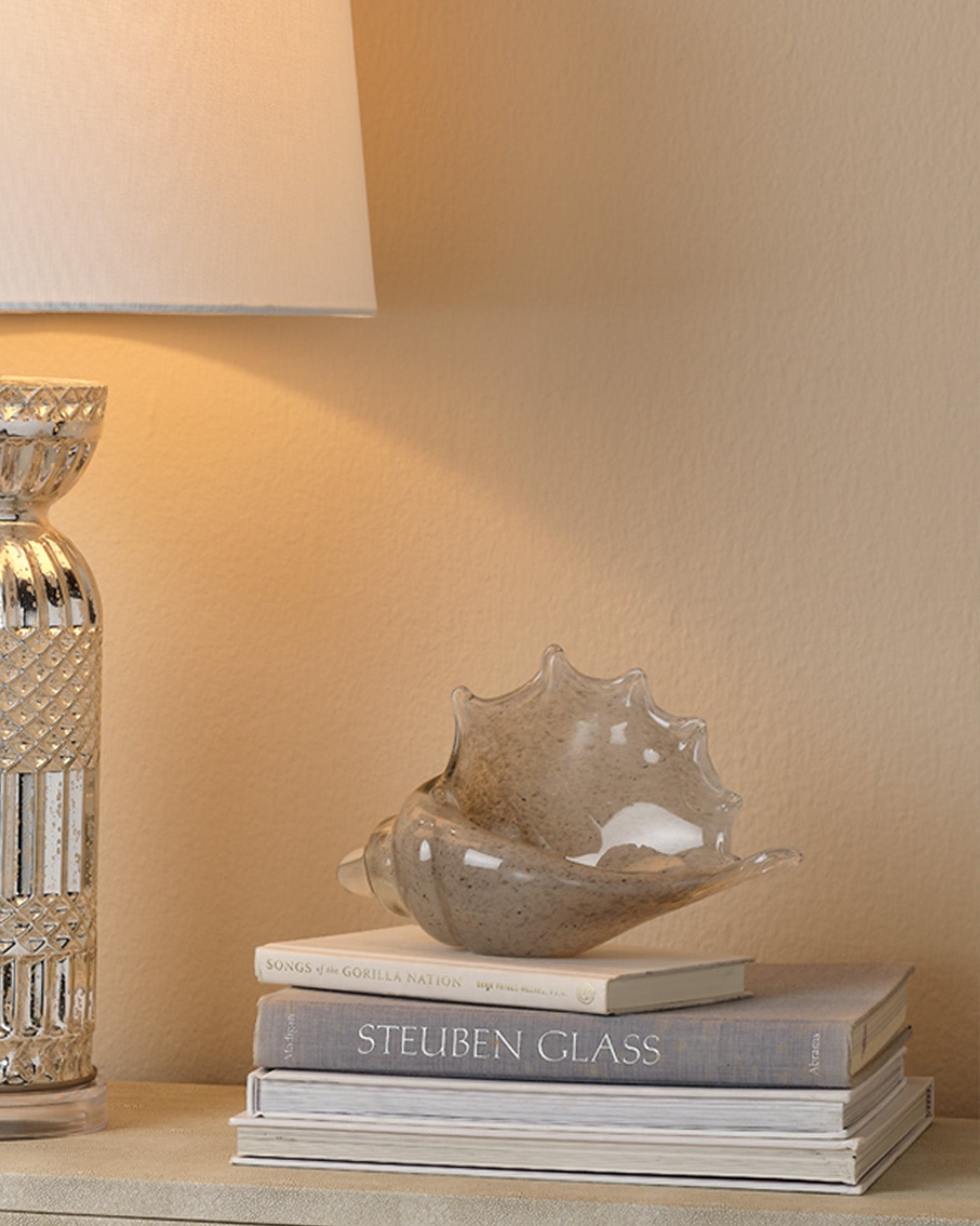 Premium Triton Shell in Grey - Natural Seashell Decor for Beach Themed Parties, Coastal Home Decor, and Aquarium Accents