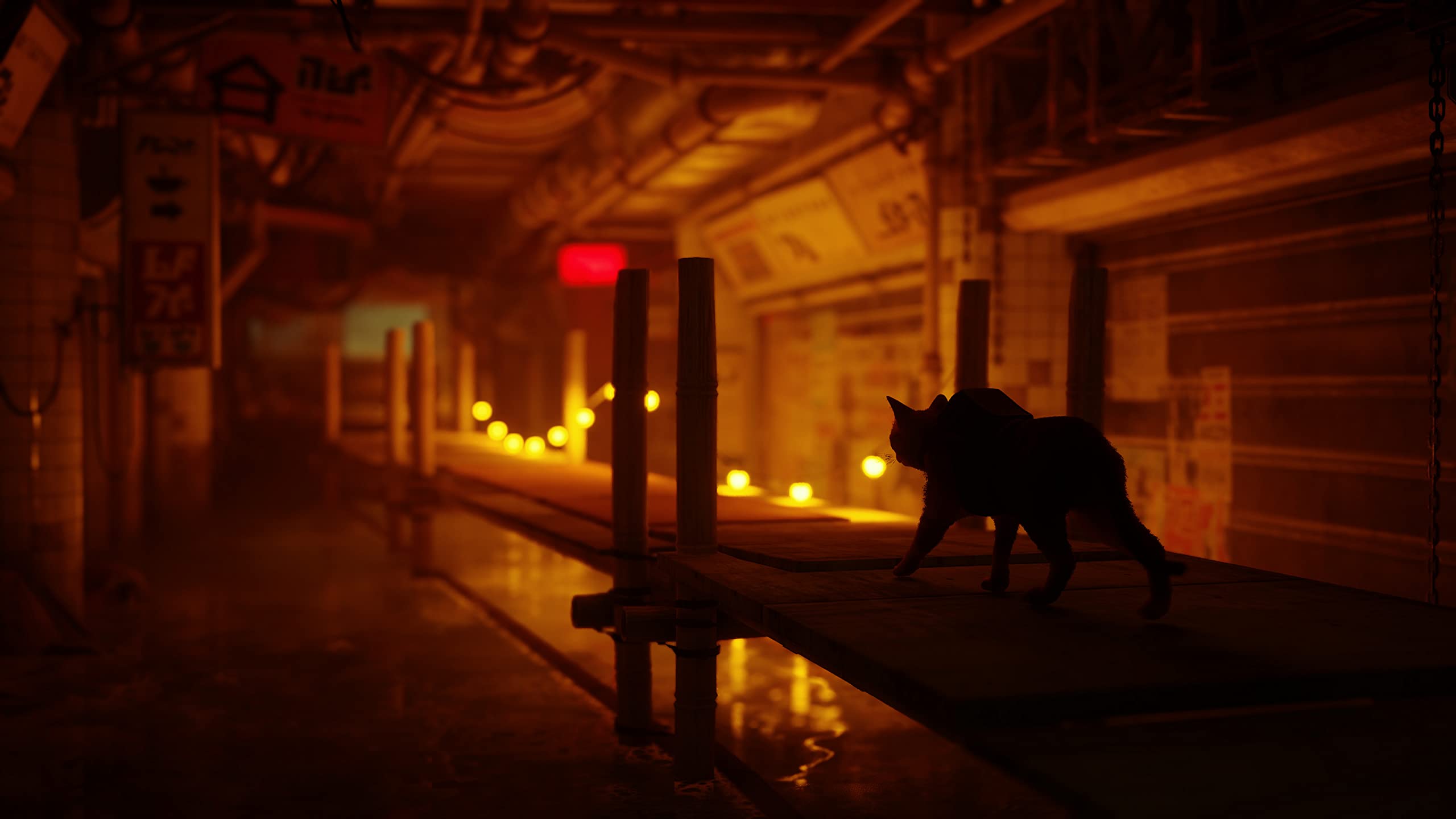 Stray - PlayStation 4 Game | Adventure Cat Simulation | Explore Cybercity with Your Feline Friend | Perfect for Cat Lovers & Adventure Gamers