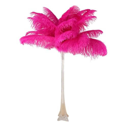Clear Vase/Shocking Pink Feathers