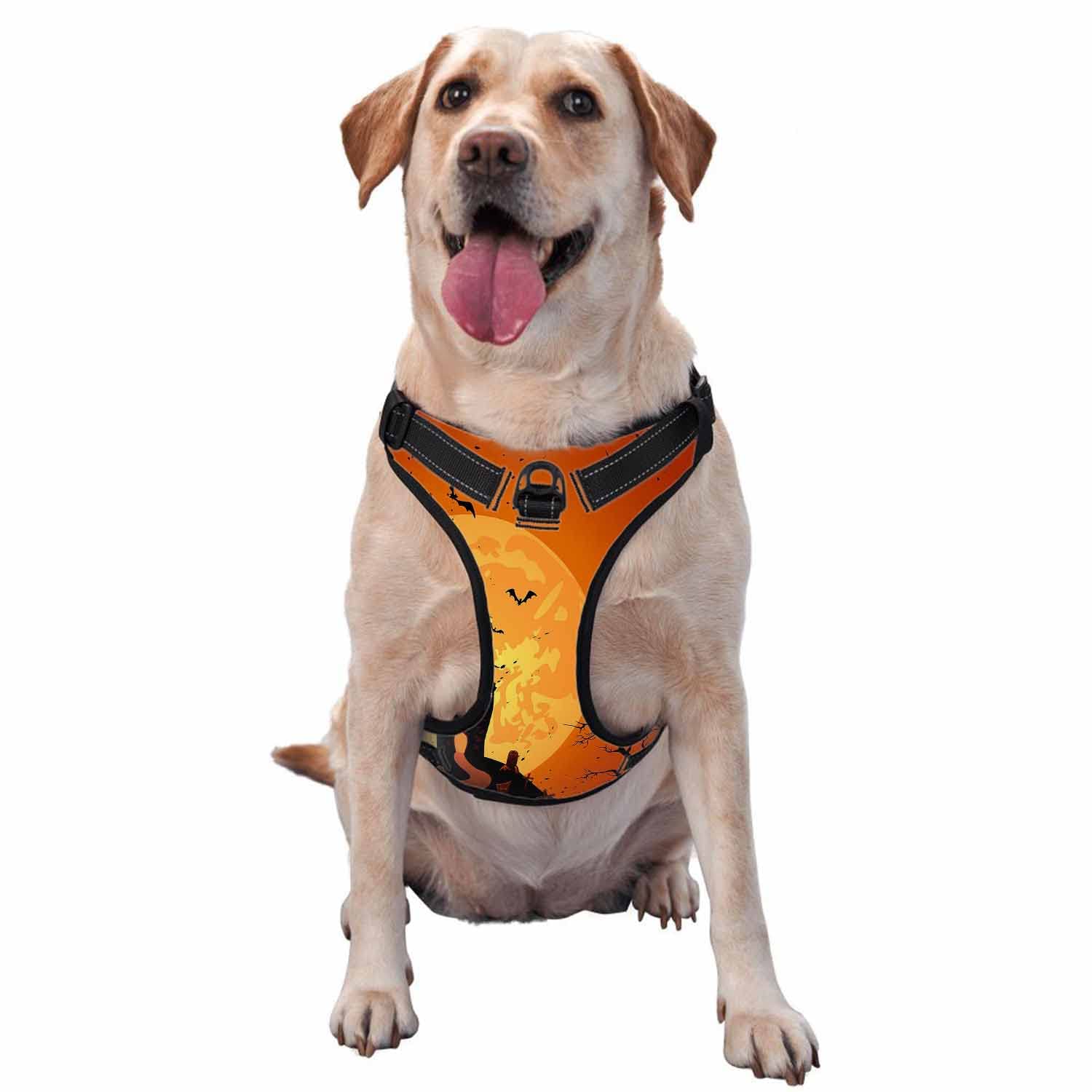Zaueky Halloween No-Pull Dog Harness Set - Adjustable Comfortable Vest with Leash for Small Dogs & Puppies (Size S) - Perfect for Halloween Night Walks & Costume Parties