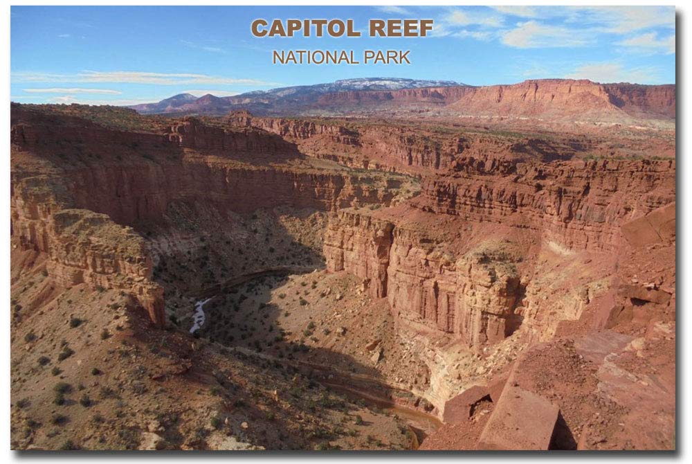 Capitol Reef National Park Souvenir Fridge Magnet - 2.5