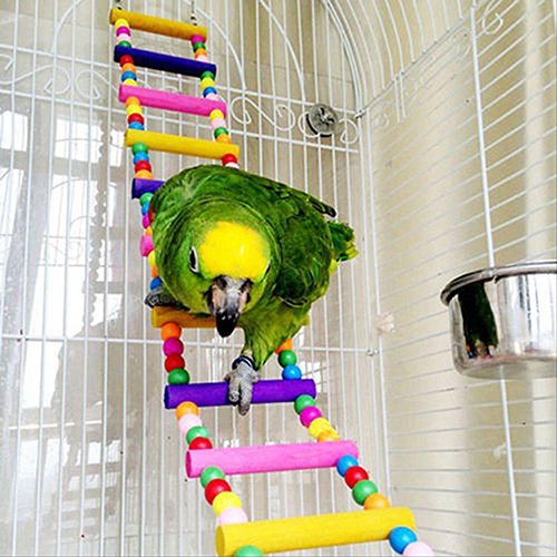 Colorful 56cm Ladder Bridge Chew Toy for Budgies & Parakeets - Climbing, Biting, Swinging Bird Toy - Perfect for Playtime & Exercise - Great Birthday & Christmas Gift for Pet Birds