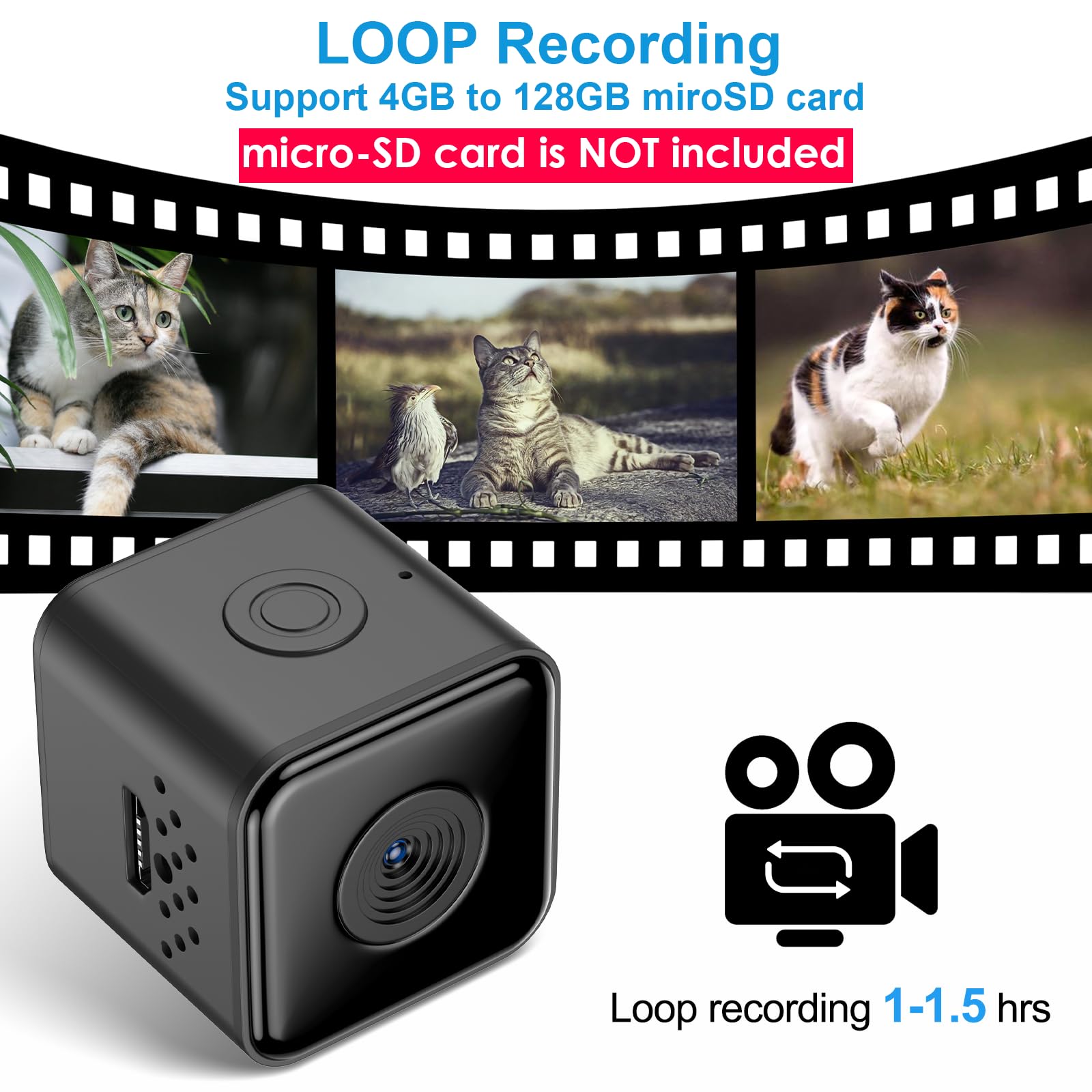 Wireless Cat Collar Camera with Video Recording - No WiFi Needed for Outdoor Pets
