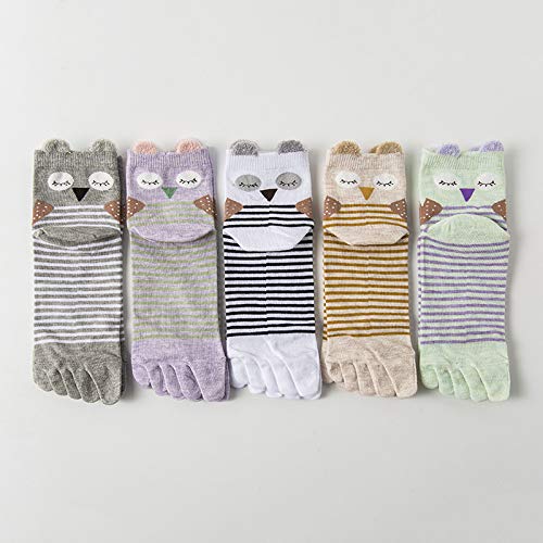 5 Pack-stripe Owl With 3d Ears