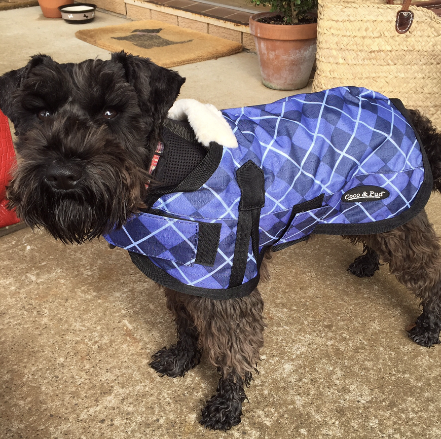 Waterproof Dog Coat 3009 - Blue Check Plaid Outdoor Raincoat for Small Medium Large Dogs - Perfect for Walking, Hiking & Rainy Day Adventures