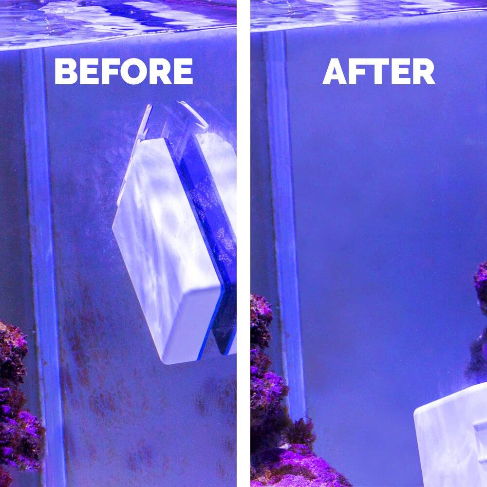 MAG 40 Magnetic Aquarium Cleaner - Strong Floating Glass Tank Scraper for Algae Removal - Perfect for Freshwater & Saltwater Fish Tanks (10-40 Gallon)