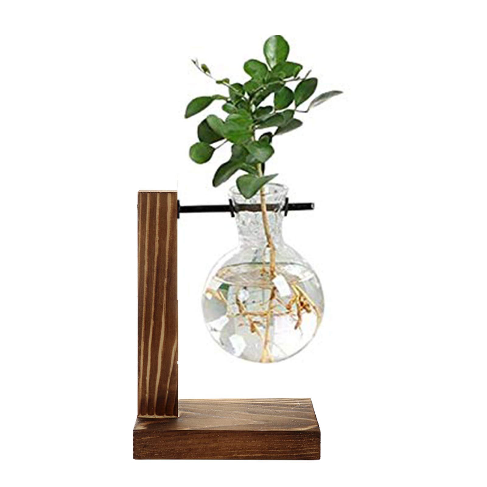 Clear Glass Hanging Plant Terrarium with Retro Solid Wood Stand - Water Planting Vase for Hydroponics, Indoor Plants, Home & Garden Decor - Perfect for Living Room, Office, or Balcony Greenery