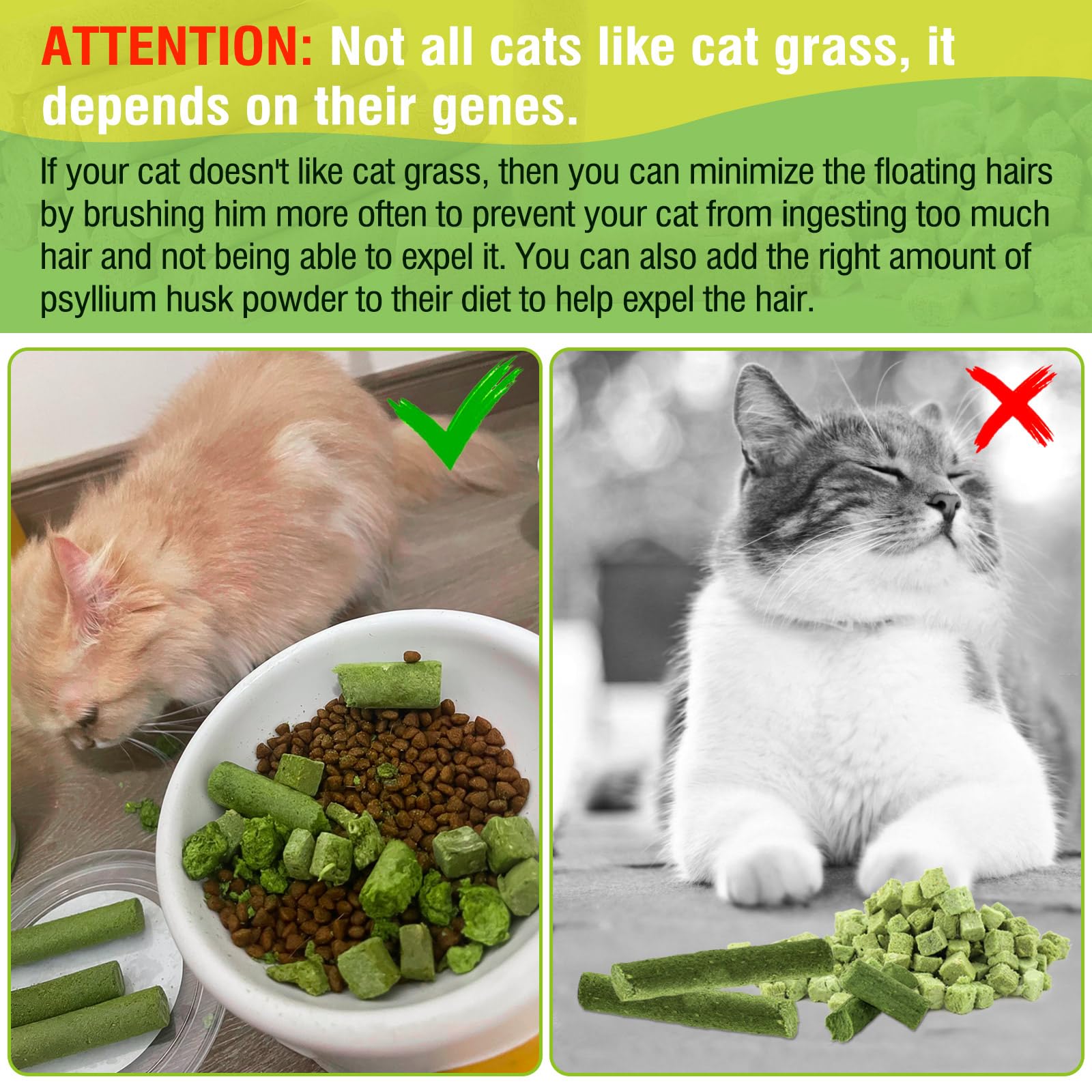 30g Organic Cat Grass Sticks - Natural Cat Treat for Teeth Cleaning & Hairball Control | Healthy Edible Cat Chew Toy | Indoor Cat Enrichment & Digestive Aid