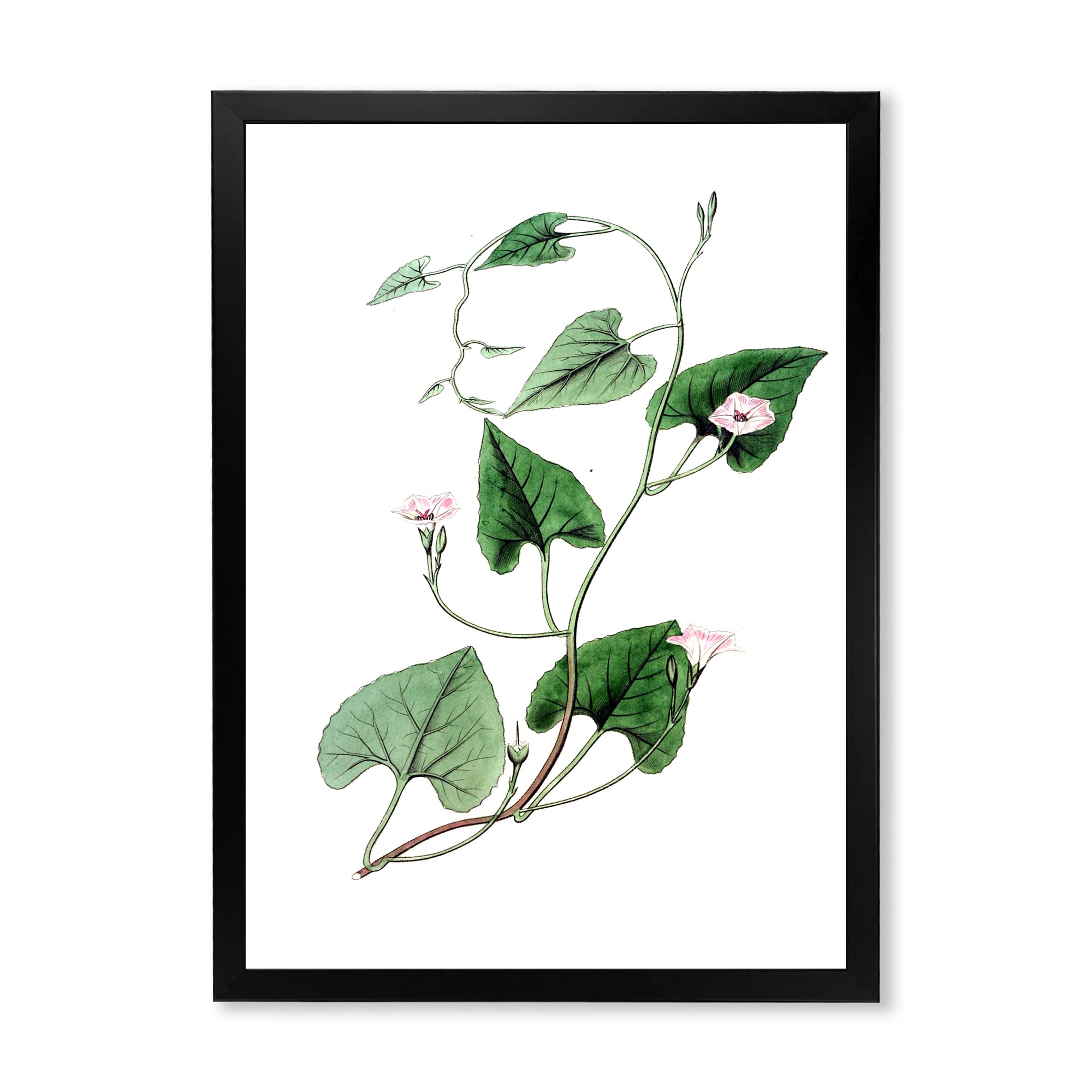 Vintage Green Leaves Botanical Wall Art - Traditional Framed Plant Decor for Living Room, Bedroom & Office