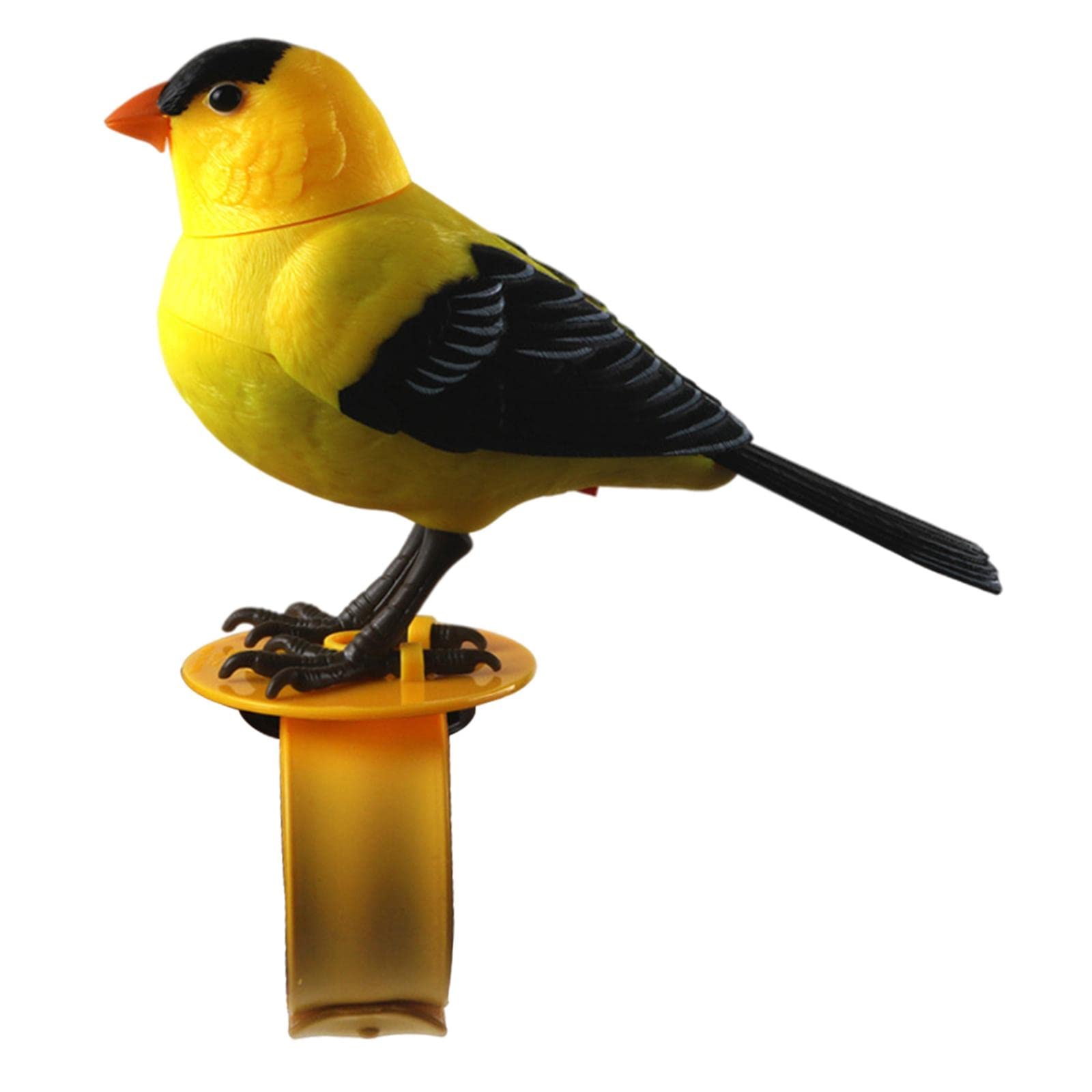 Yotijay Electric Voice Control Talking Parrot Toy - Battery Operated Singing Electronic Bird Figurine for Kids & Children | Perfect for Birthday Gifts, Classroom Rewards & Interactive Playtime