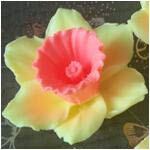 PRZY HC0089 Silicone 3D Flower Molds for Soap Making, Candle, Resin, Clay - DIY Craft, Home Decor, Wedding Favors, Gift Making
