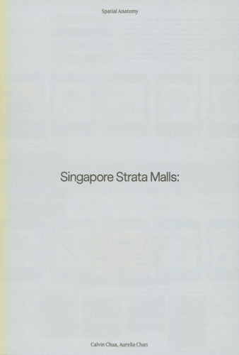 Singapore Strata Malls: Historical Evolution & Future Development Trends | Commercial Real Estate Investment Guide