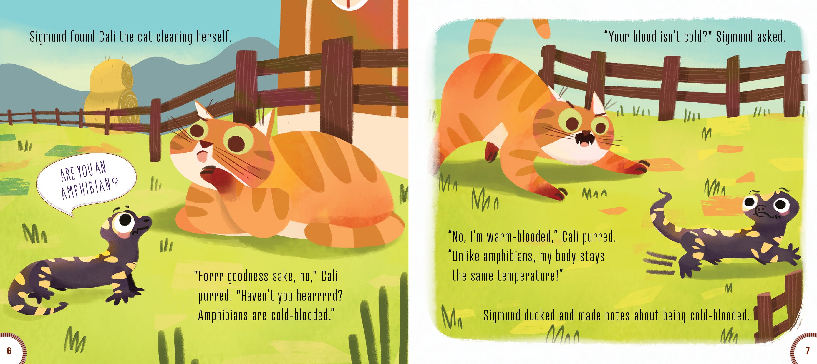 Are You an Amphibian? Fun Animal Identification Book for Kids - Perfect for Classroom Learning & Homeschool Science Activities