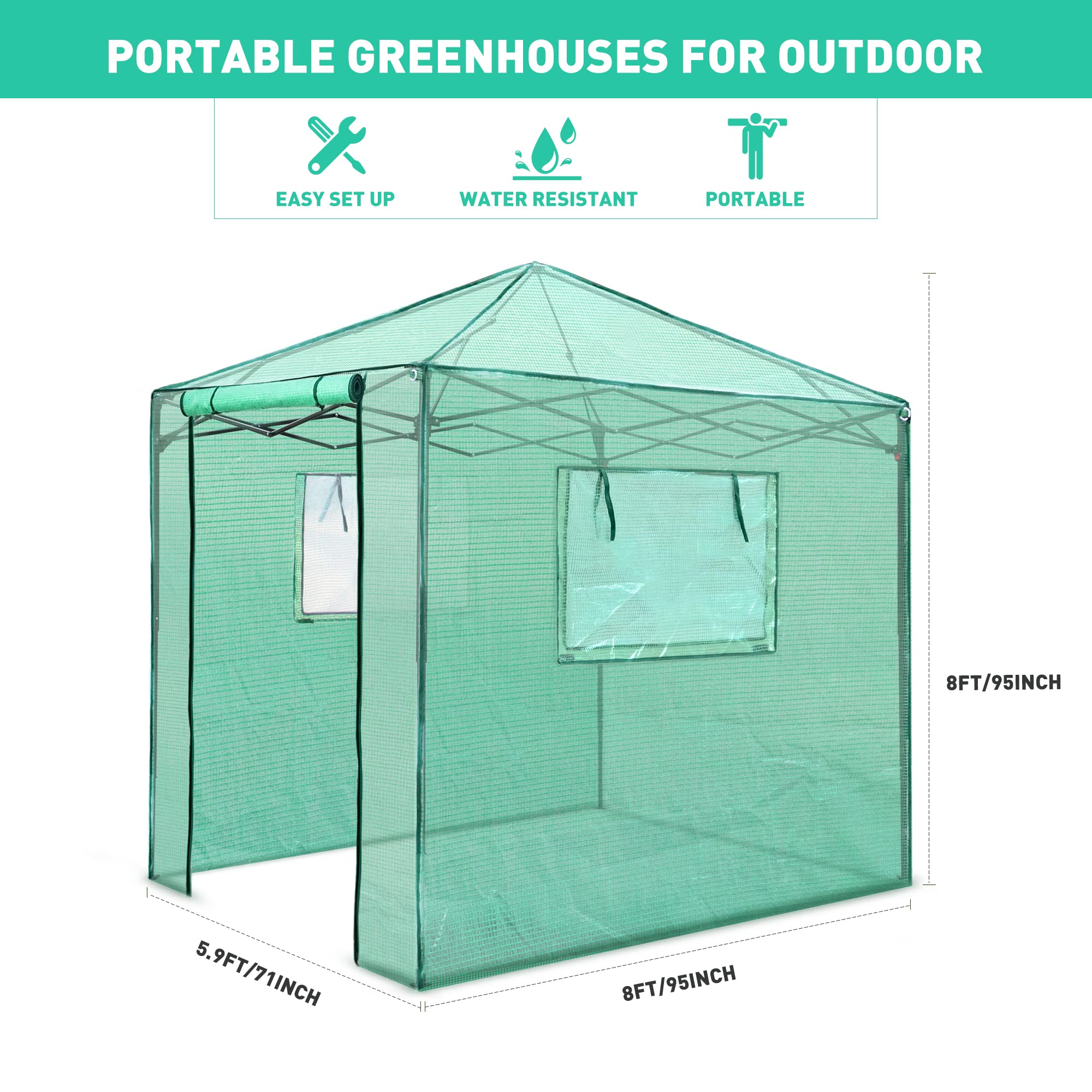 PexFix 8'x8' Portable Walk-in Greenhouse for Indoor & Outdoor Gardening - Easy Setup Pop-Up Greenhouse with 2 Roll-Up Mesh Windows & Zippered Door - Perfect for Seed Starting, Plant Protection & Year-Round Growing (Green, Model A-GE06016)