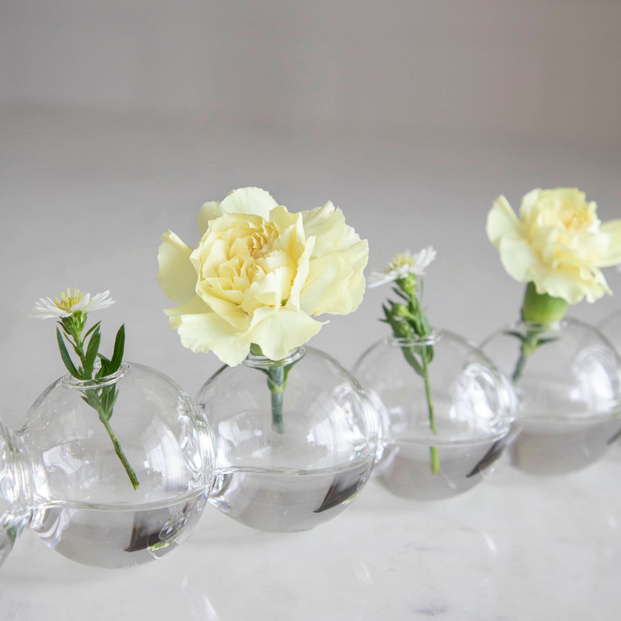 Caterpillar Vase - Unique Handmade Ceramic Flower Pot for Home Decor, Gift Idea | Perfect for Living Room, Bedroom, Office & Wedding Centerpieces