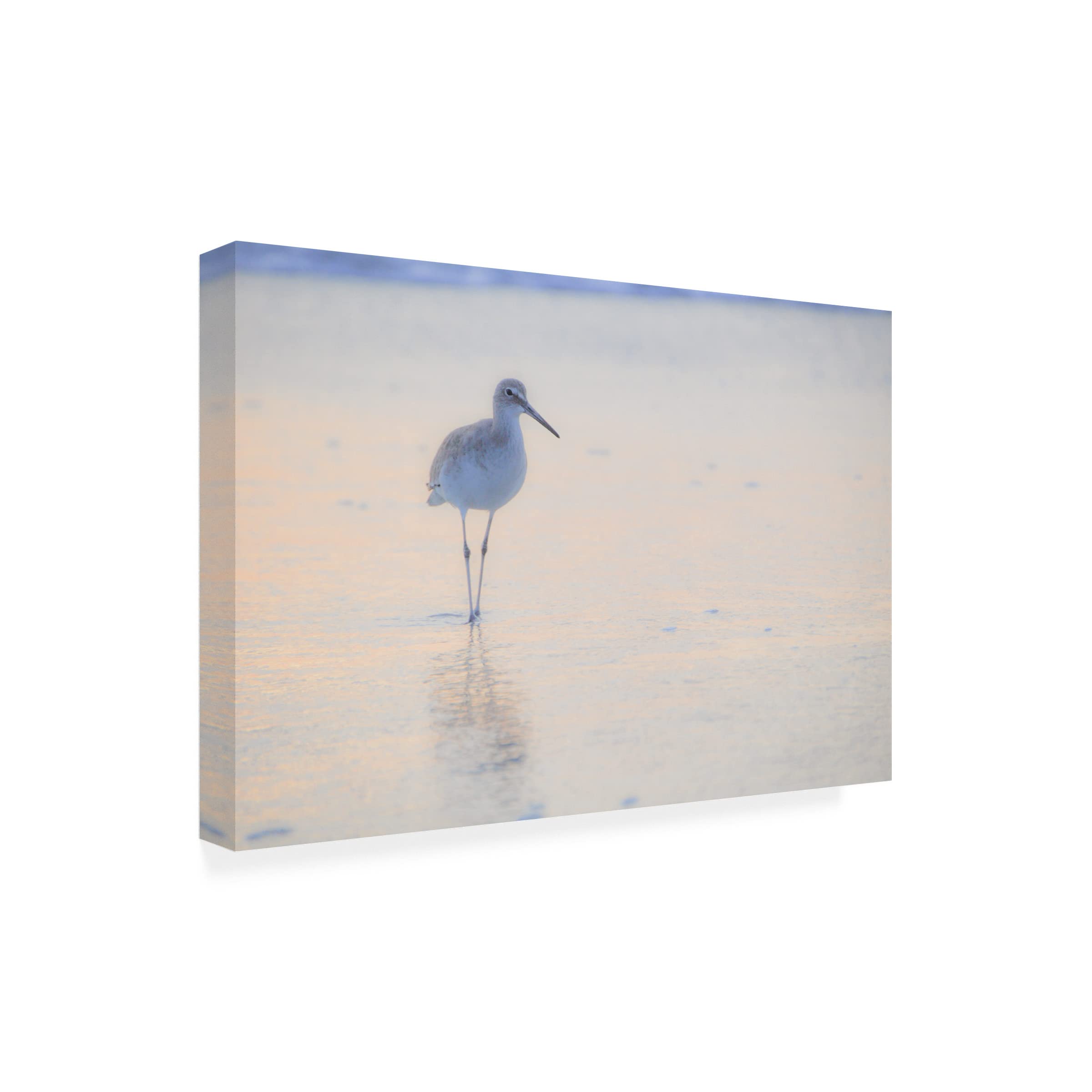 Blue Palomino 'Peaceful Piper' Canvas Wall Art Print - Handmade Landscape Painting for Living Room, Bedroom & Office Decor