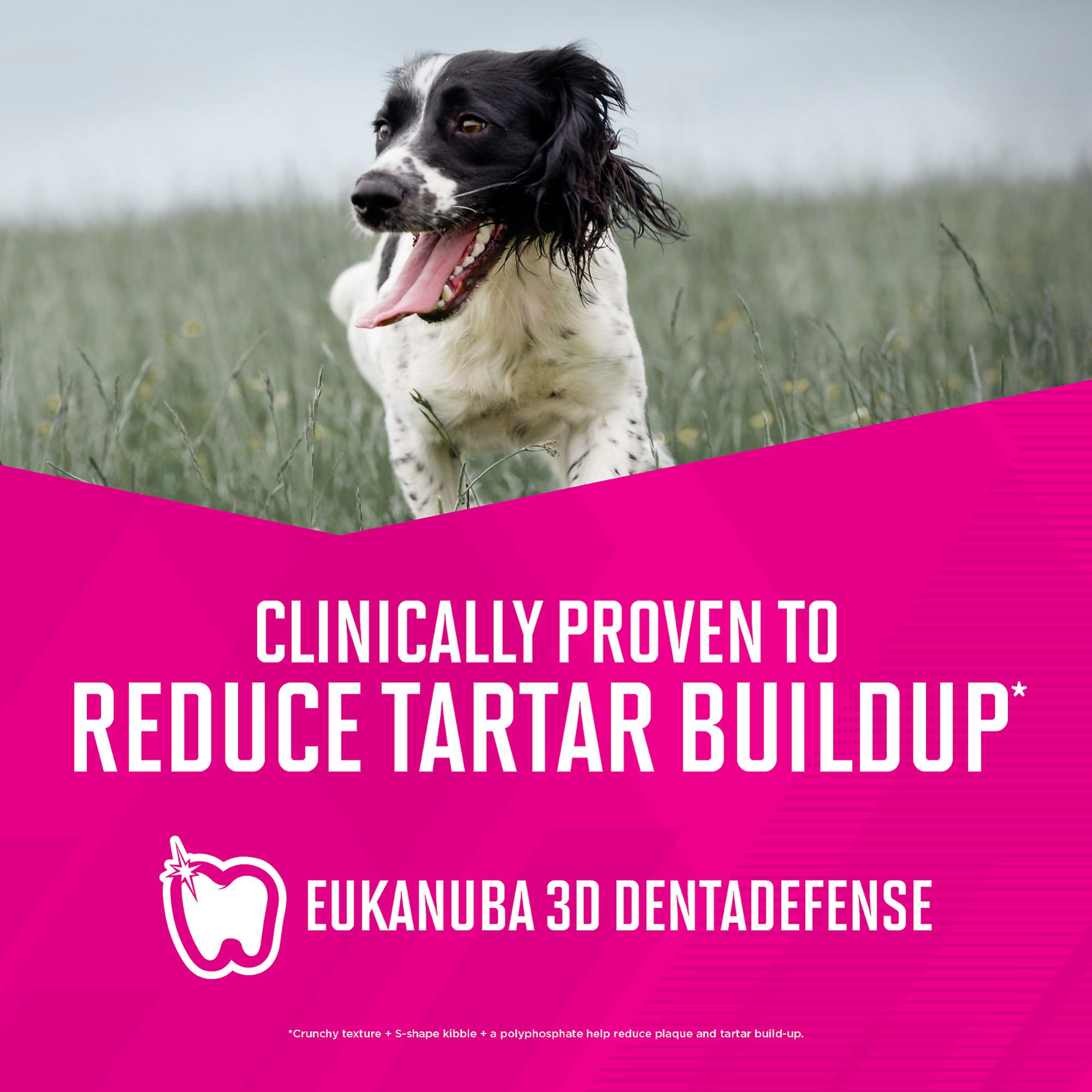 Eukanuba Senior Large Breed Dry Dog Food for Adult Dogs - 30 lb Bag | High Protein Nutrition for Joint & Muscle Health - Ideal for Golden Retrievers, Labradors & Large Breeds