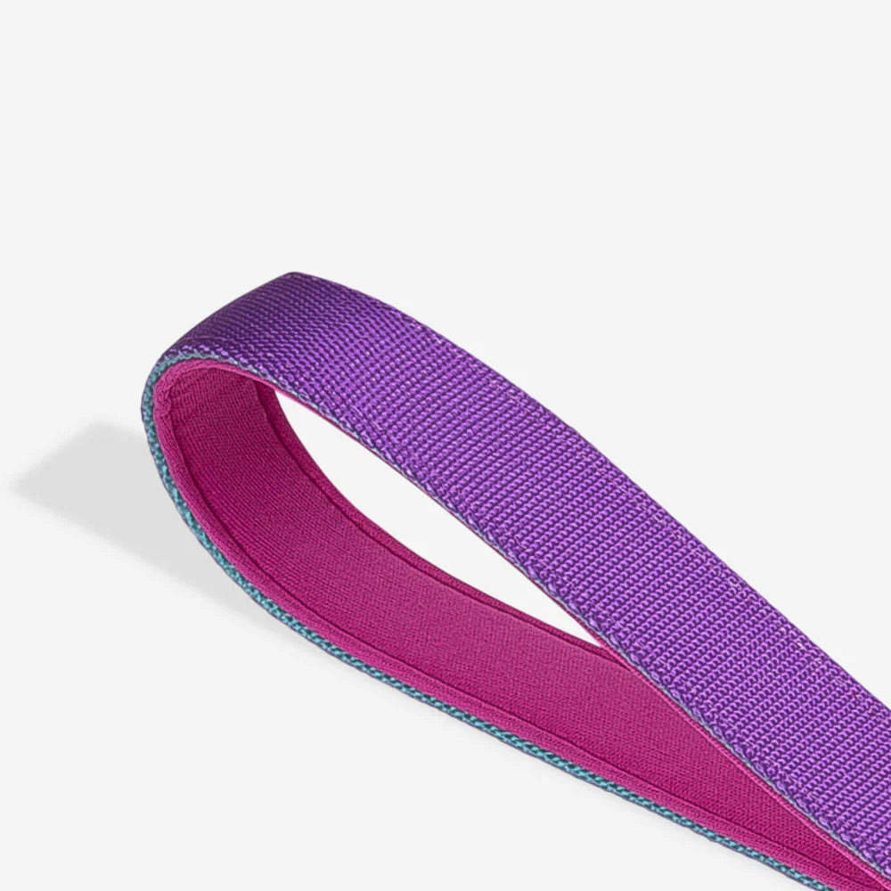 Shockwave No-Pull Dog Leash - Anti-Tangle Reflective Pet Walking Lead with Comfort Handle for Small Medium Large Dogs - Perfect for Training, Running, Hiking & Daily Walks