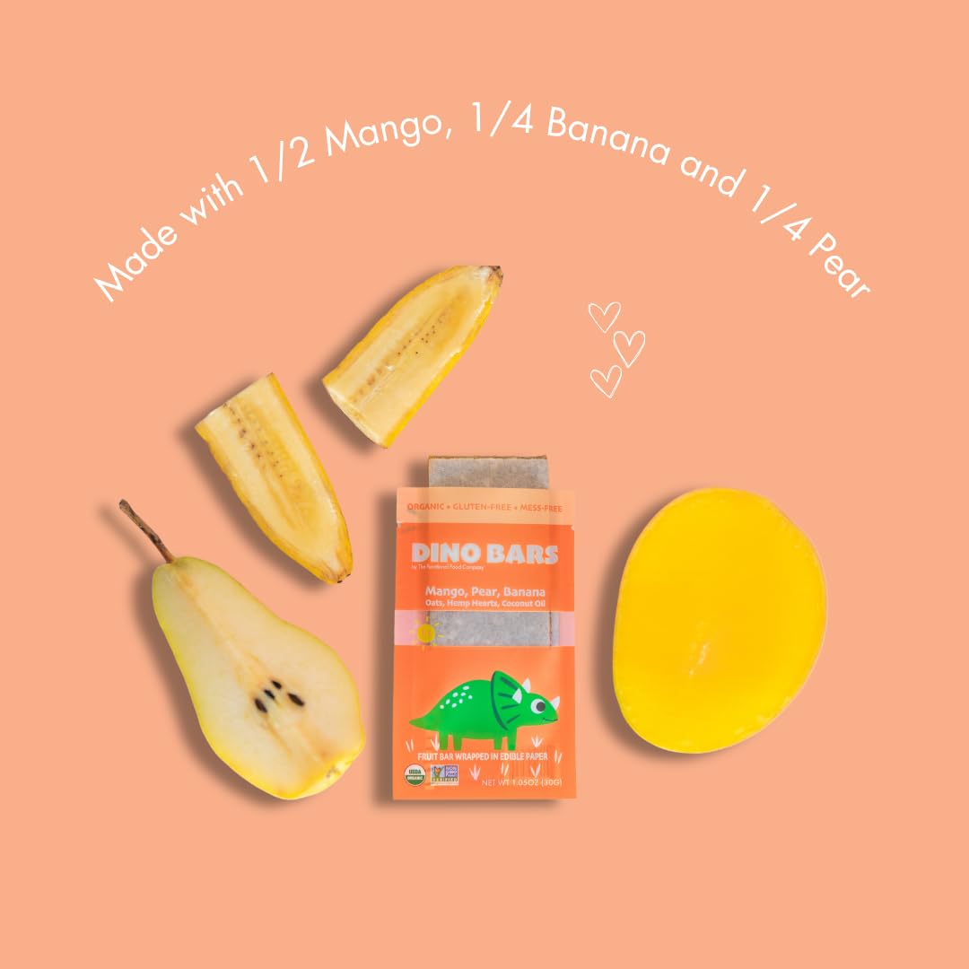 Organic Dino Bars for Kids - Healthy Dinosaur Snacks with Fruit, Oats, Hemp Hearts & Coconut Oil | Blueberry, Strawberry & Mango Flavored Toddler Bars | Edible Paper Wrapped | Variety 9 Pack for Ages 1+ | Perfect for School Lunches, Road Trips & On-the-Go Snacking