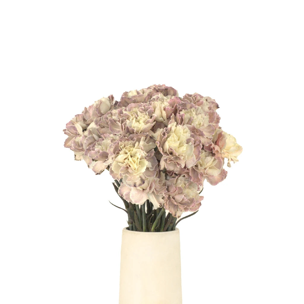 Beige Peach Carnation Flowers - Artificial Silk Floral Arrangement for Home Decor, Wedding Centerpieces & Party Decorations