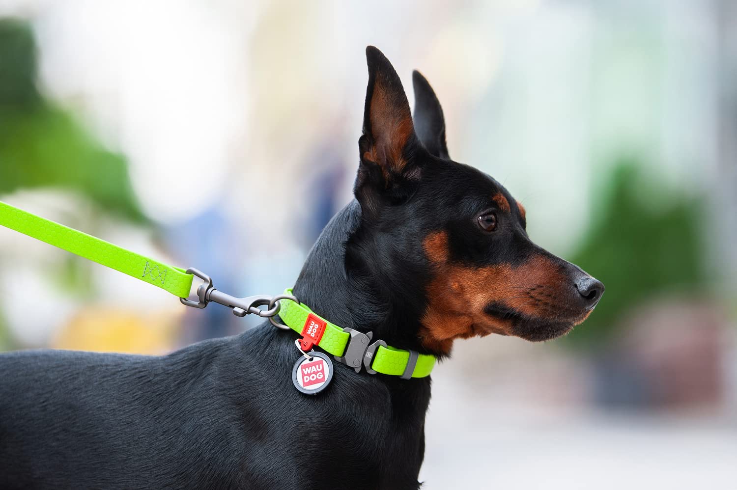 WAUDOG Adjustable Waterproof Dog Collar - Soft Durable Pet Collar for Dogs & Puppies - Comfortable Strong Training Collar for Small Medium Large Dogs - Perfect for Walking Hiking Swimming Outdoor Activities