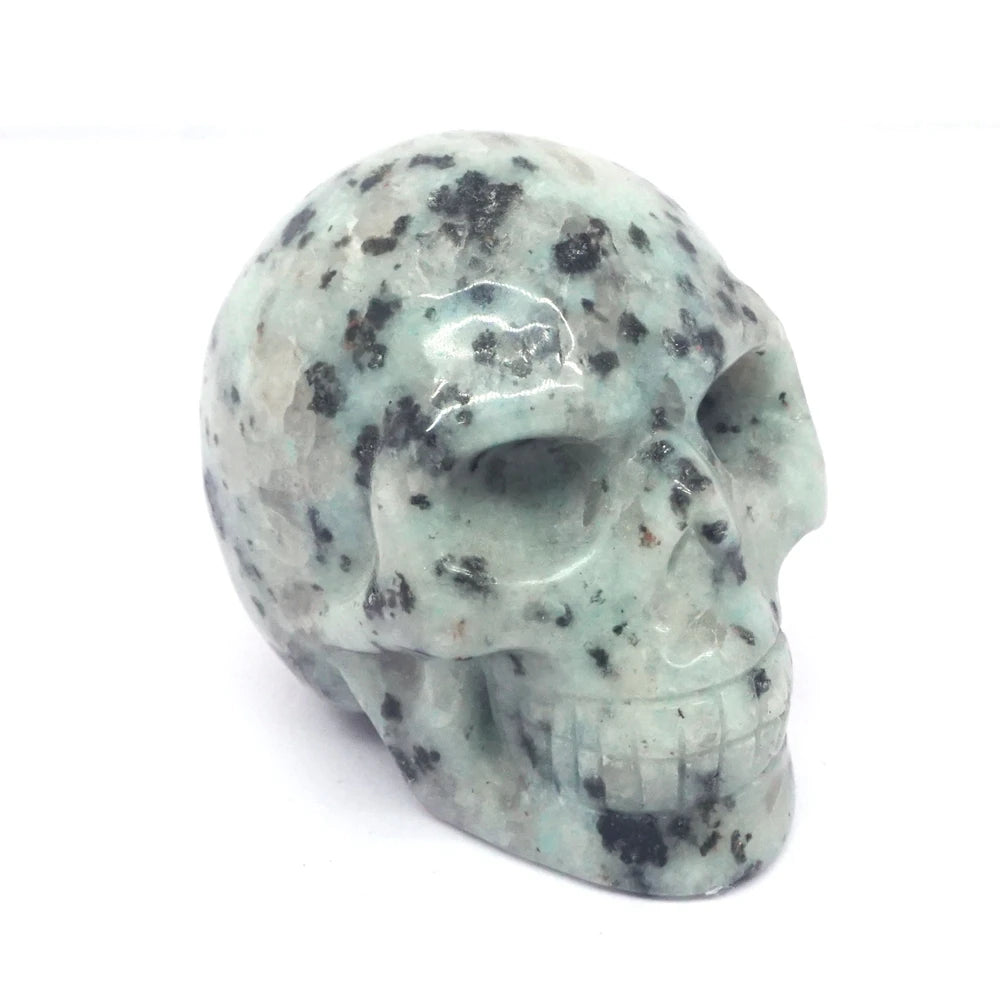 Kiwi Jasper