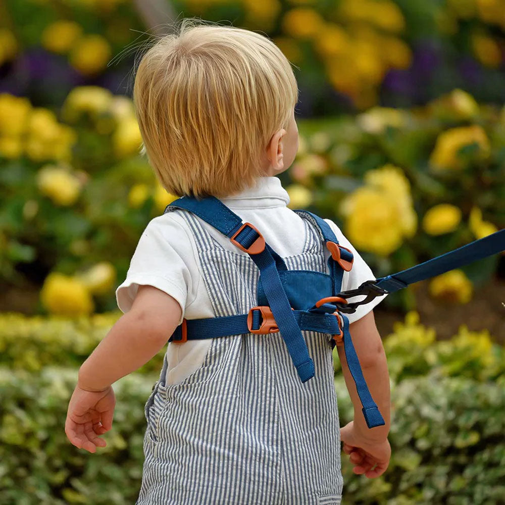 LittleLife Dinosaur Toddler Safety Harness - Adjustable Walking Reins for Kids 1-3 Years | Cute Dino Backpack Leash for Child Safety in Crowds, Parks & Shopping