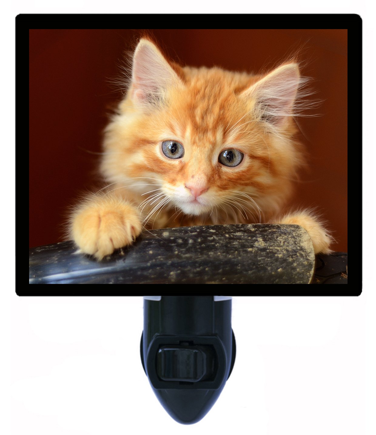 Cat Night Light - Adorable Ginger Kitten Design for Bedroom & Nursery | Cute Cat-Themed Night Light for Kids, Pet Lovers & Home Decor