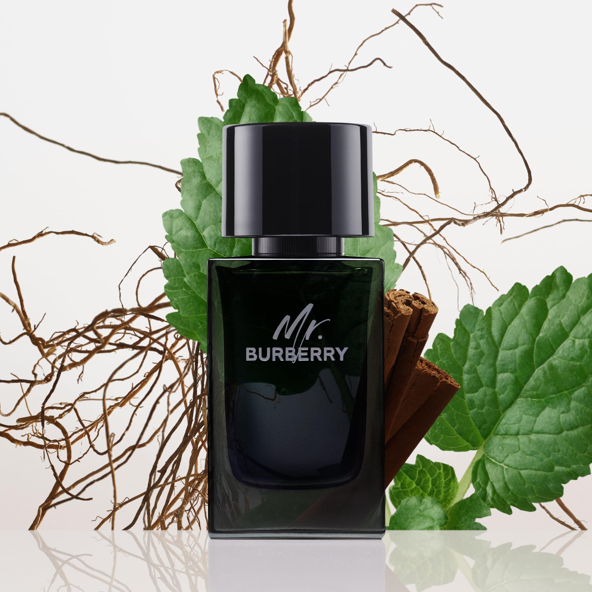 BURBERRY Mr Eau de Parfum for Men - Woody Aromatic Cologne with Tarragon, Cinnamon, Patchouli & Vetiver Notes - Long Lasting Fragrance - Perfect for Date Night, Office & Special Occasions