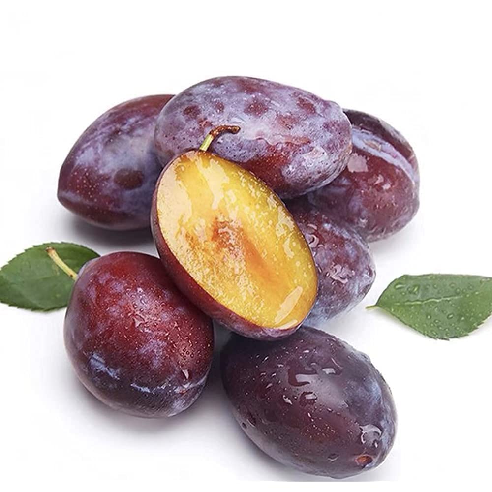 West Macy's Premium California Pitted Prunes - Ready-to-Eat Dried Plum Snacks, 6oz/170g, Sweet & Chewy Candied Preserved Fruit - Perfect for Lunchboxes, Office Snacks & Healthy On-the-Go Treats