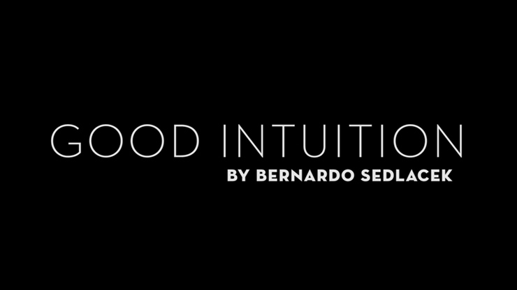 Good Intuition by Bernardo Sedlacek - Digital Video Download | Self-Improvement & Personal Growth Guide for Meditation & Mindfulness Practice