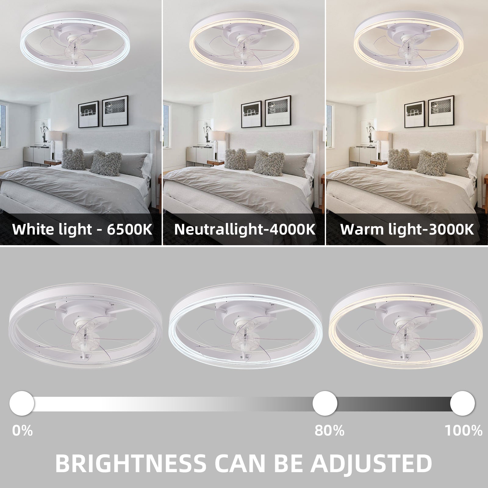 19.7 Inch RGB LED Ceiling Fan with Light - 3 Color Temperatures, 6 Speed Adjustable, Reversible Rotation - Perfect for Bedroom, Living Room & Home Office