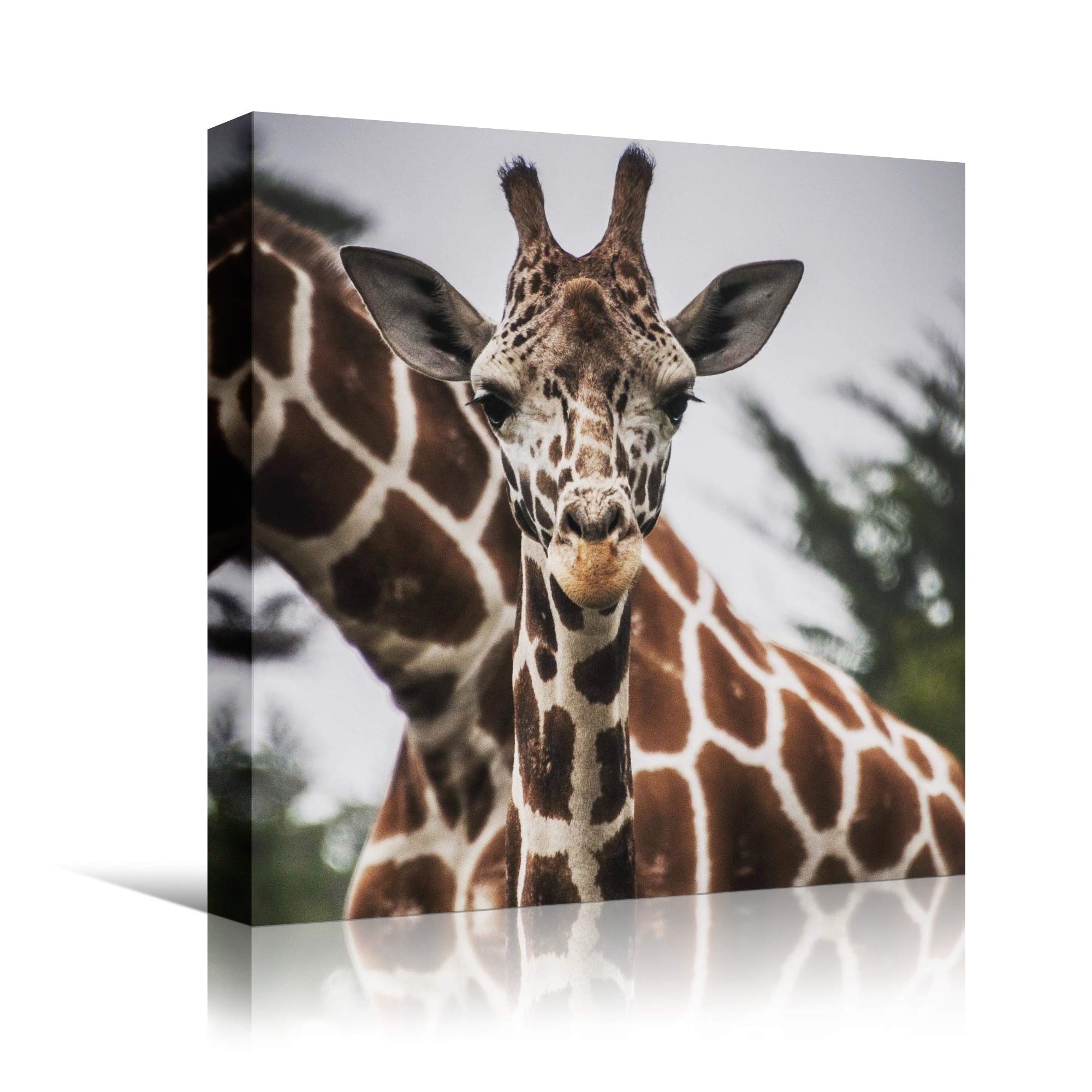 BestDeal Depot Giraffe XVII Animals Expressive Farmhouse Country Wall Art Print - 24x24 Inches Ready to Hang for Living Room & Bedroom Decor | Perfect for Rustic Home, Nursery, or Office Wall Decoration