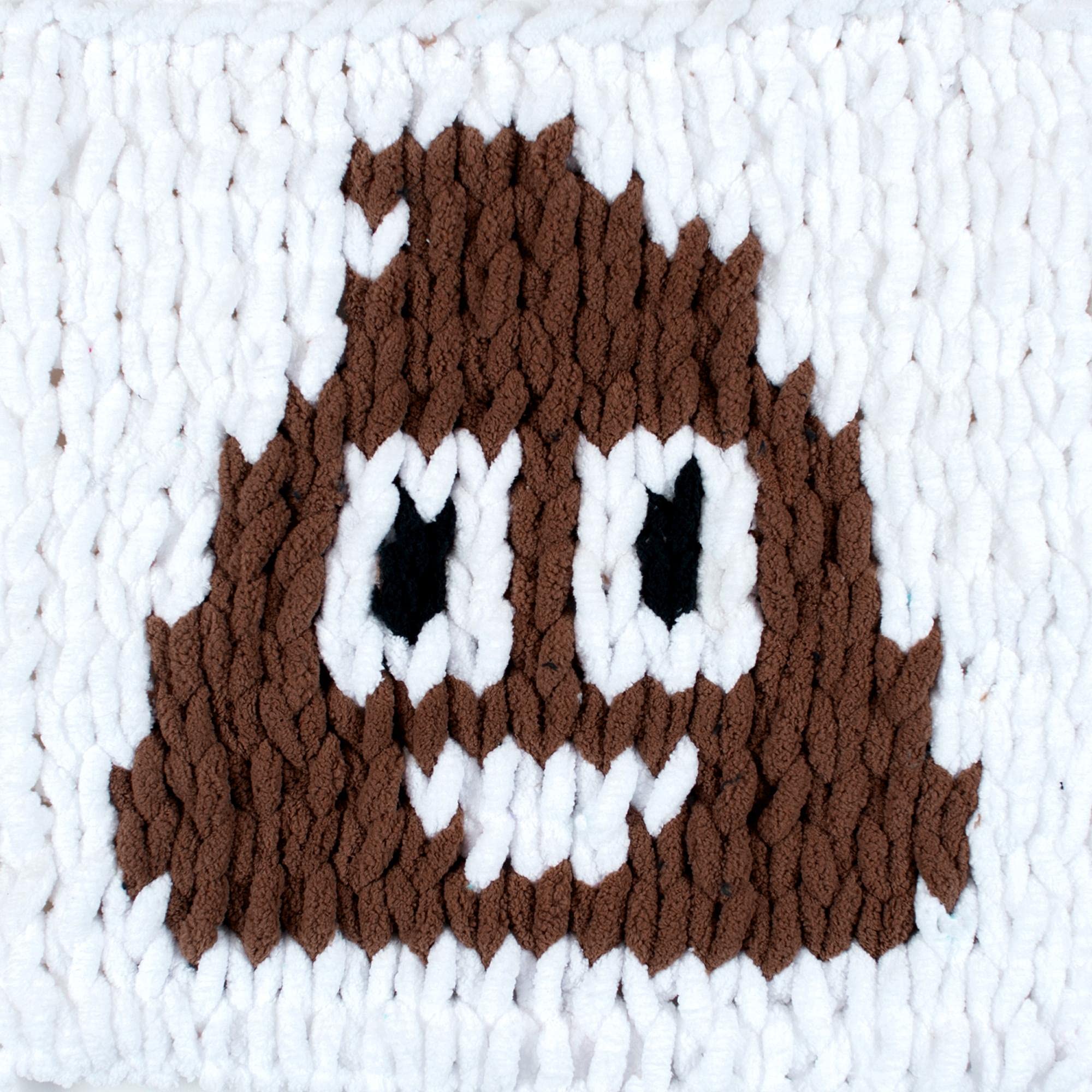 Lion Brand Yarn Off the Hook Magic No Needle Bulky Yarn (1 Skein) - Poop Emoji Design - Perfect for Crochet, Knitting, and DIY Crafts