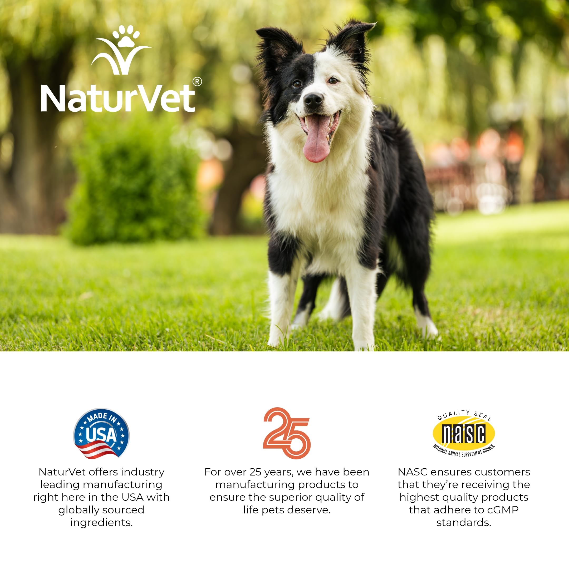NaturVet VitaPet Adult Daily Multivitamin for Dogs with Breath Freshener - Complete Vitamin & Mineral Supplement with Omega-6, Parsley - Supports Overall Health for Dogs 1+ Years (60 Count) - Perfect for Daily Nutrition & Oral Care