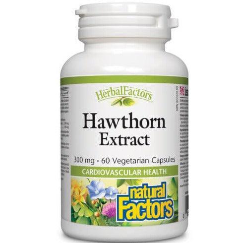 Natural Factors Hawthorn Extract 300mg - 60 Vegetarian Capsules for Heart Health & Circulation Support - Perfect for Cardiovascular Wellness & Herbal Supplement Routine
