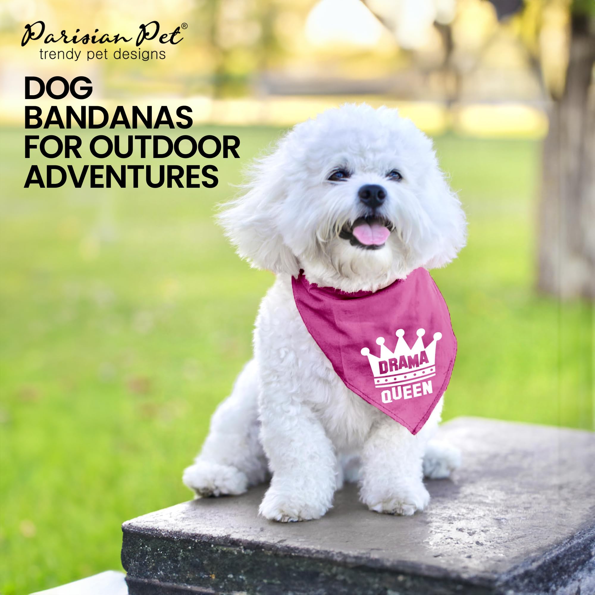 Parisian Pet Dog Bandanas - 'Drama Queen' Printed Adjustable Dog Scarf for Small Dogs | Washable Polyester Triangle Bandana in Elegant Pink | Perfect for Pet Fashion, Birthday Parties & Photo Shoots