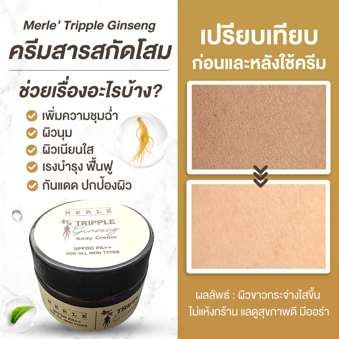 MERLE Triple Ginseng Body Cream with SPF 50 PA++ - 2 Pack | Collagen, Arbutin & Vitamin C for Smooth Skin | Daily Moisturizer & Sun Protection for Face & Body