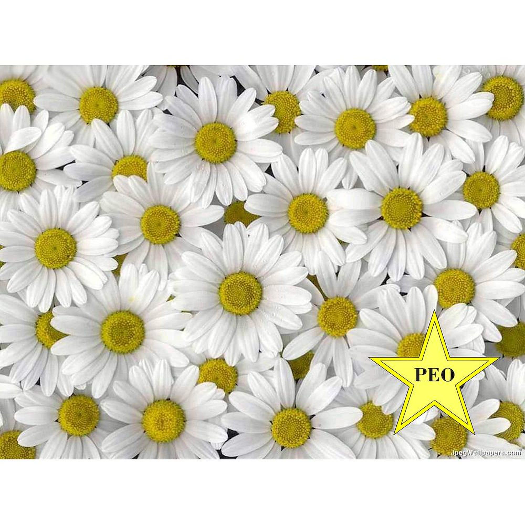 PEO Daisy Mug - 11 oz (325 ml) Ceramic Coffee Cup with Handle - Perfect for Office, Home & Gifts | CafePress