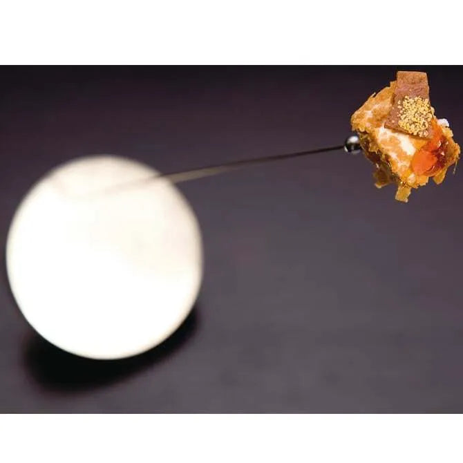 Crucial Detail Antenna Skewer - Premium Stainless Steel BBQ Grill Skewers for Outdoor Cooking, Camping, and Backyard Grilling - Perfect for Kabobs, Shish Kebabs, and Meat Grilling Accessories