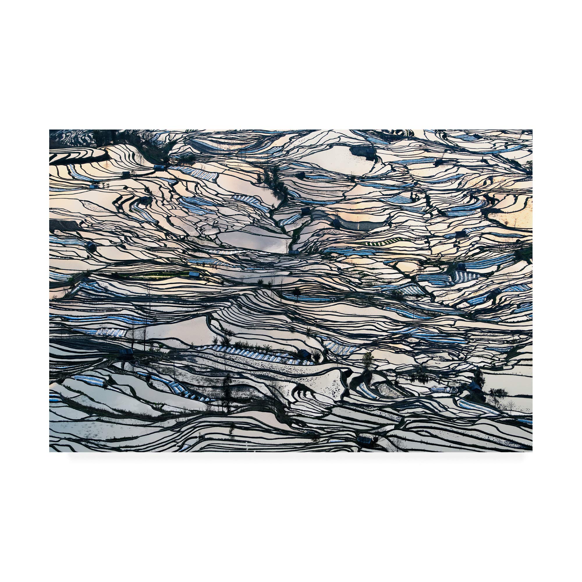 George Doupas Earth Carpet Art Print - 30x47 Inch Wall Decor for Living Room, Bedroom & Office | Trademark Fine Art Collection | Modern Home Decor & Gift Idea