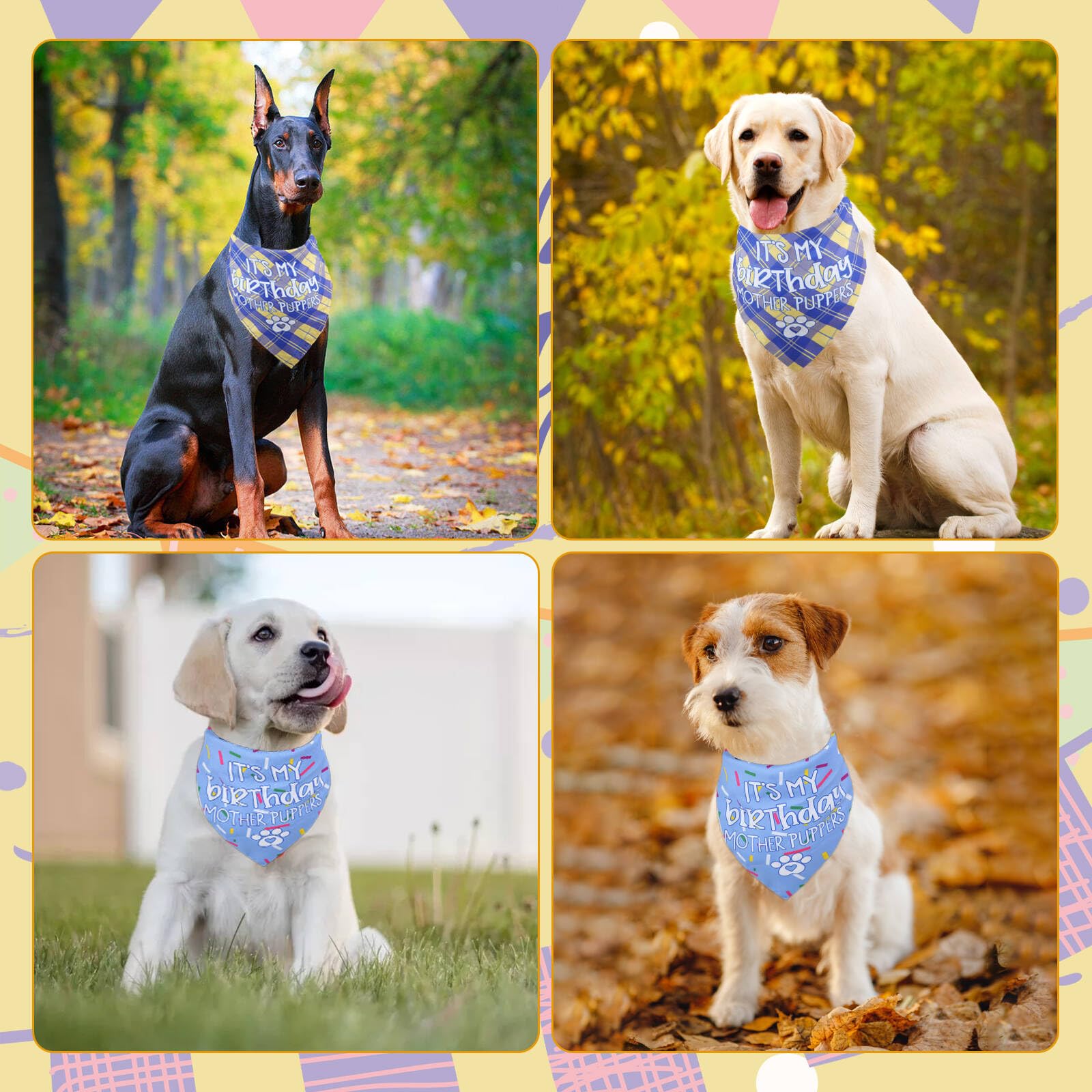 Reversible Dog Birthday Bandana - Small to Medium Size for Pets & Cats | Perfect for Dog Birthday Parties, Celebrations & Special Occasions