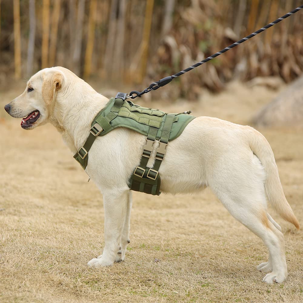 Tactical Dog Harness for Large & Medium Dogs - No Pull Military Vest with MOLLE Panel & Handle - Service Dog Gear for Hiking, Training, Hunting & Walking (L, Green) - Perfect for Outdoor Adventures & Working Dogs