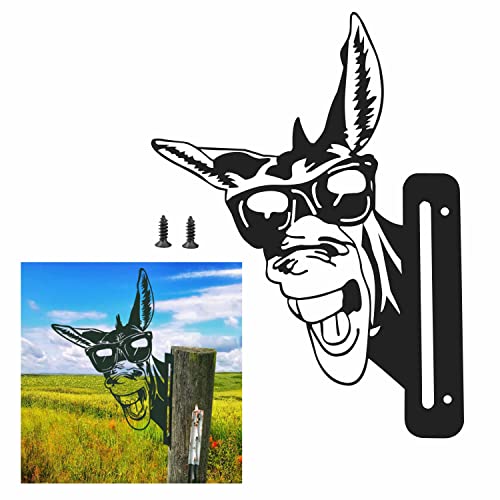Metal Donkey